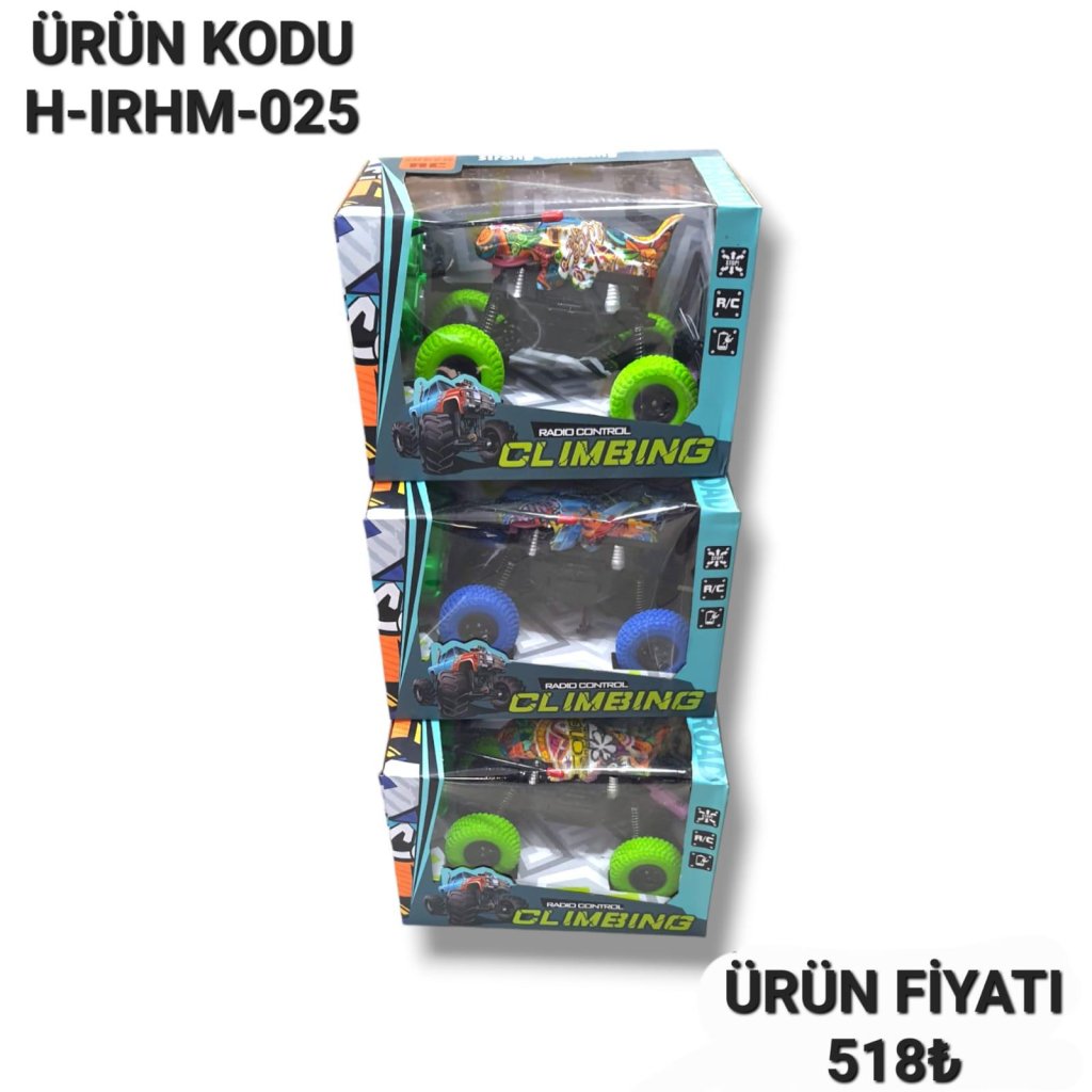 H-IRHM-025 UZ KUM CANAVAR SEKILLI ARABA