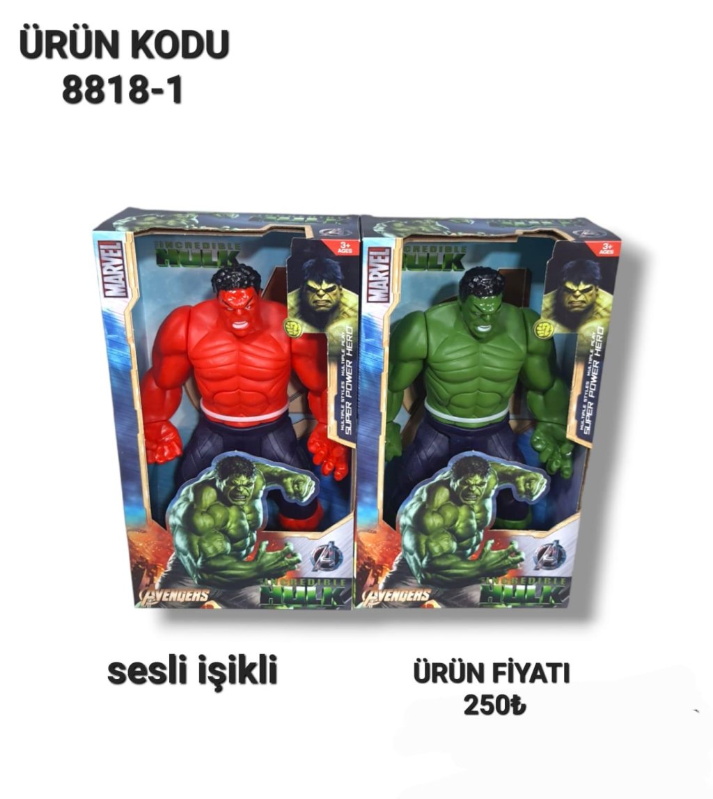 8818-1 KUT BY IŞIKLI HULK