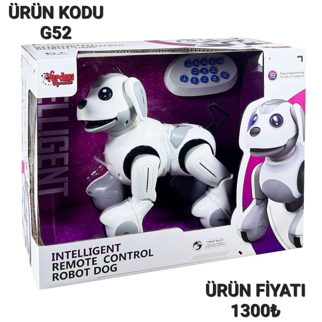 G52 UZ KUM AKILLI ROBOT