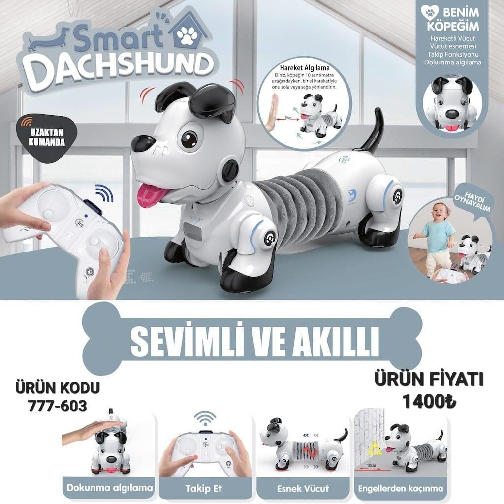 777-603 UZ KUM KORUKLU AKILLI KOPEK